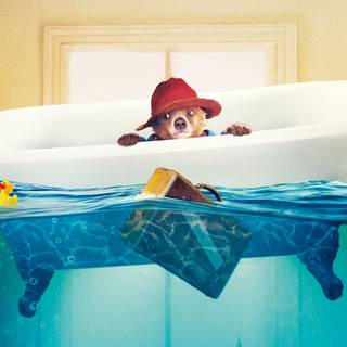 Paddington wallpaper