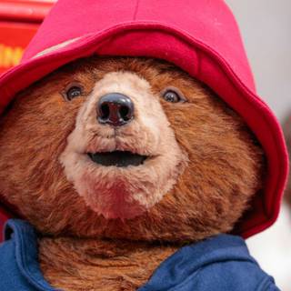 Paddington wallpaper