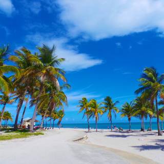 Miami USA South Beach wallpaper