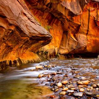 Zion National Park USA The Narrows Canyon wallpaper