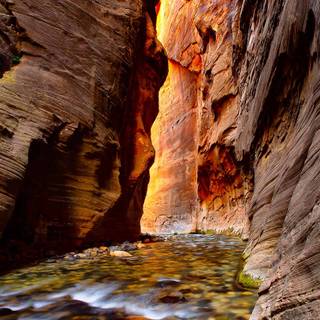 Zion National Park USA The Narrows Canyon wallpaper