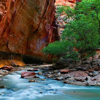 Zion National Park USA The Narrows Canyon wallpaper