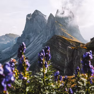 Dolomites Italy Seceda Mountain Ridge wallpaper