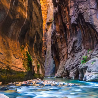 Zion National Park USA The Narrows Canyon wallpaper