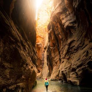 Zion National Park USA The Narrows Canyon wallpaper