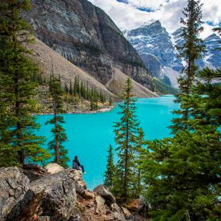 Canadian Rockies Moraine Lake wallpaper