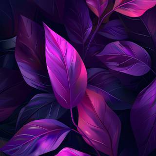 iPhone 4k purple black wallpaper