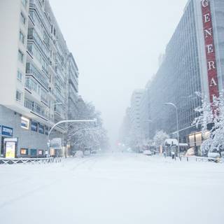 Winter snow town wallpaper