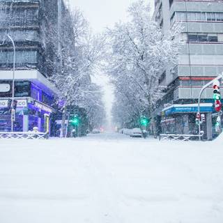 Winter snow town wallpaper