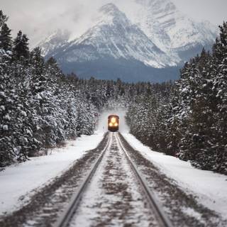 Winter track wallpaper