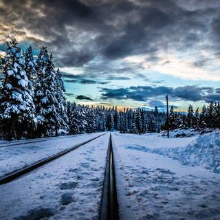 Winter track wallpaper