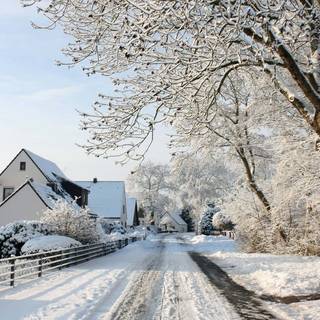 Winter snow town wallpaper