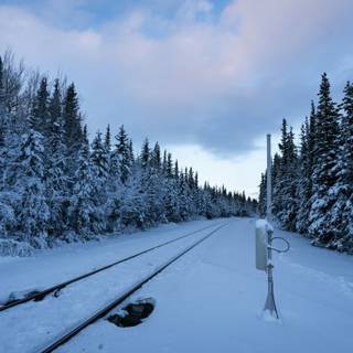 Winter track wallpaper