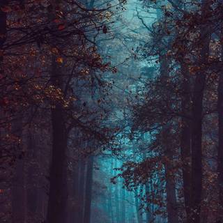 Autumn vertical 4k wallpaper