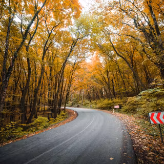 Autumn road 8k wallpaper