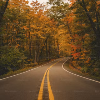 Autumn road 8k wallpaper