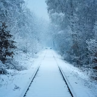 Winter track wallpaper
