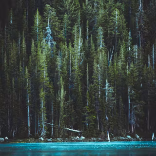 Autumn vertical 4k wallpaper