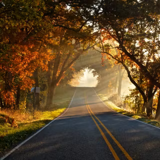 Autumn road 8k wallpaper