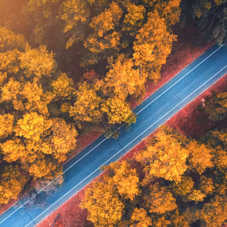 Autumn road 8k wallpaper