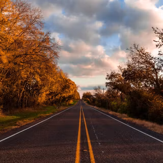 Autumn road 8k wallpaper