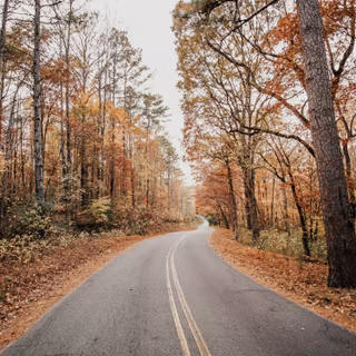 Autumn road 8k wallpaper