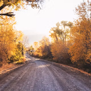 Sunny autumn computer wallpaper