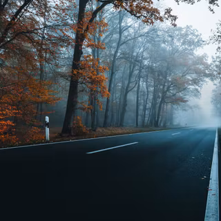 Autumn road 8k wallpaper