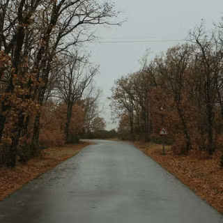 Autumn road 8k wallpaper