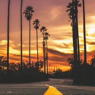 Autumn vertical 4k wallpaper