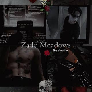 Zade wallpaper