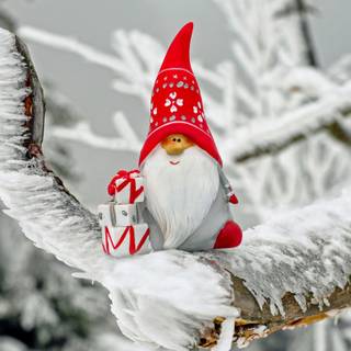 Christmas gnomes wallpaper