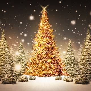 Christmas lights holidays wallpaper