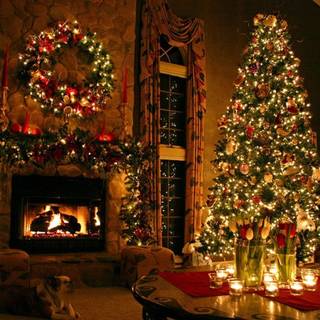 Classic Christmas tree wallpaper