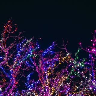 Christmas lights holidays wallpaper