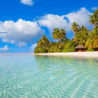 Maldives overwater bungalows wallpaper
