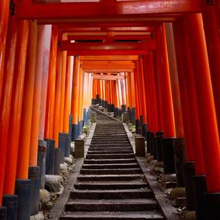 Kyoto Japan Fushimi Inari Shrine Torii Gates wallpaper
