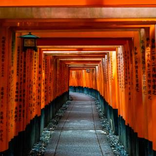 Kyoto Japan Fushimi Inari Shrine Torii Gates wallpaper