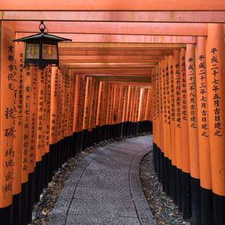 Kyoto Japan Fushimi Inari Shrine Torii Gates wallpaper