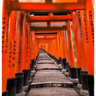 Kyoto Japan Fushimi Inari Shrine Torii Gates wallpaper