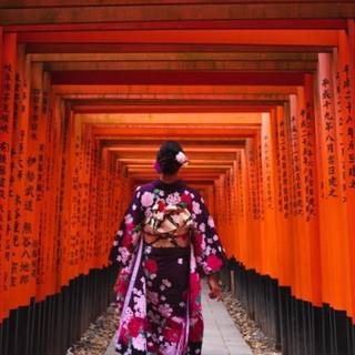 Kyoto Japan Fushimi Inari Shrine Torii Gates wallpaper