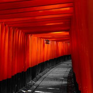 Kyoto Japan Fushimi Inari Shrine Torii Gates wallpaper