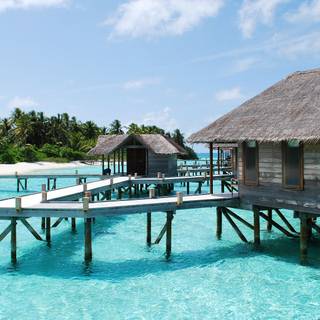 Maldives overwater bungalows wallpaper