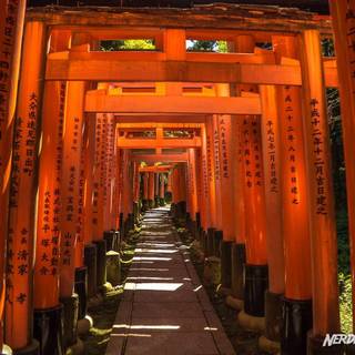Kyoto Japan Fushimi Inari Shrine Torii Gates wallpaper