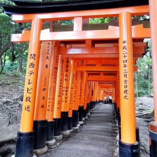 Kyoto Japan Fushimi Inari Shrine Torii Gates wallpaper