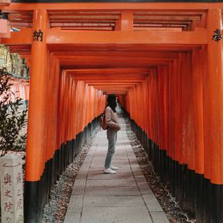 Kyoto Japan Fushimi Inari Shrine Torii Gates wallpaper