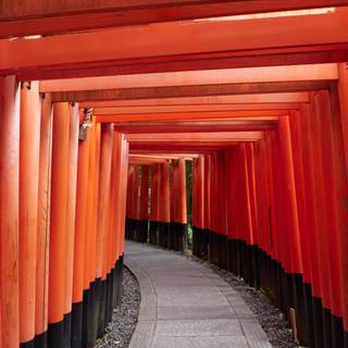 Kyoto Japan Fushimi Inari Shrine Torii Gates wallpaper