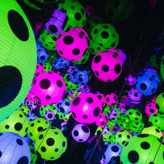 Yaoyi Kusama desktop wallpaper