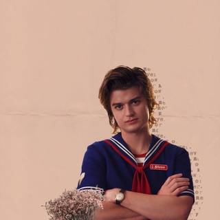 Steve Harrington wallpaper