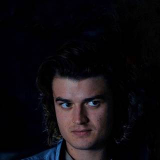 Steve Harrington wallpaper